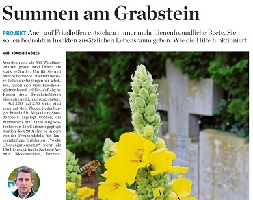 2020 07 02 Mitteldeutsche Zeitung 370