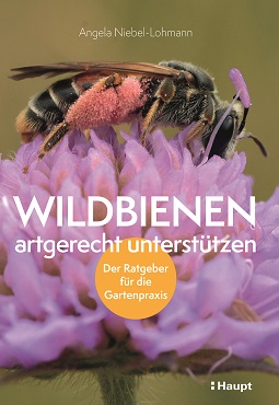 Wildbienen artgerecht unterstützen 300dpi CMYK 370