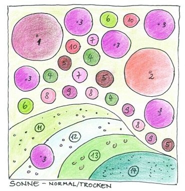 Pflanzplan Sonne normal trocken Haid 370